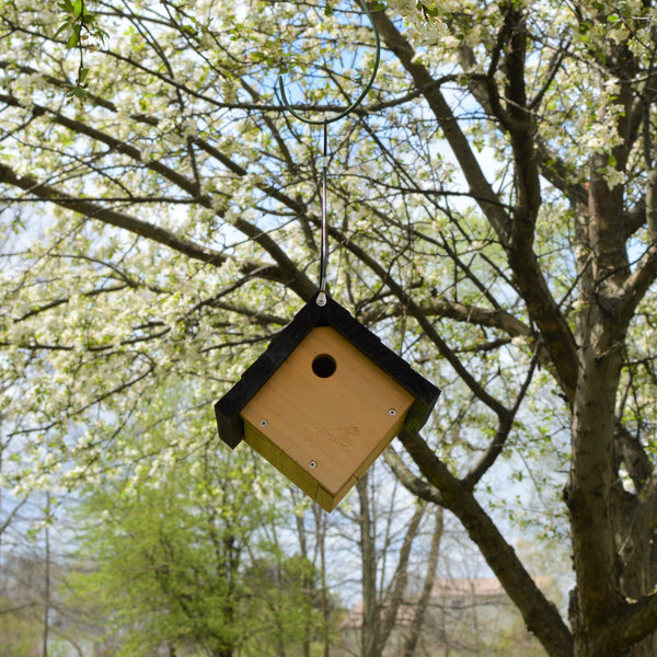 Nature's Way, Nature's Way Traditional Wren House (Model# CWH1)