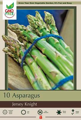 Netherland Bulb Company, Netherland Bulb Company Asparagus officinalis 'Jersey Knight'