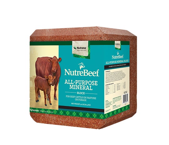 Nutrena, Nutrena® NutreBeef® All Purpose Mineral Block