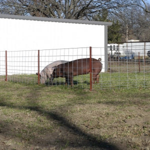 Oklahoma Steel & Wire Inc, OK Brand Wire Hog Panel