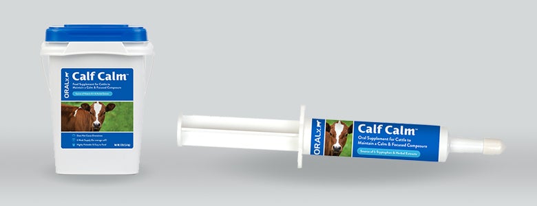 Oralx Corporation, Oralx Corporation Calf Calm Paste for Horses