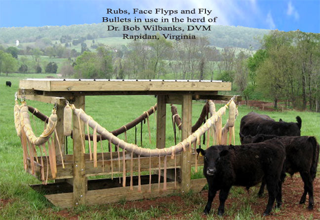 P H White, P H White Cow Life Cattle Rub Feeders & Plans