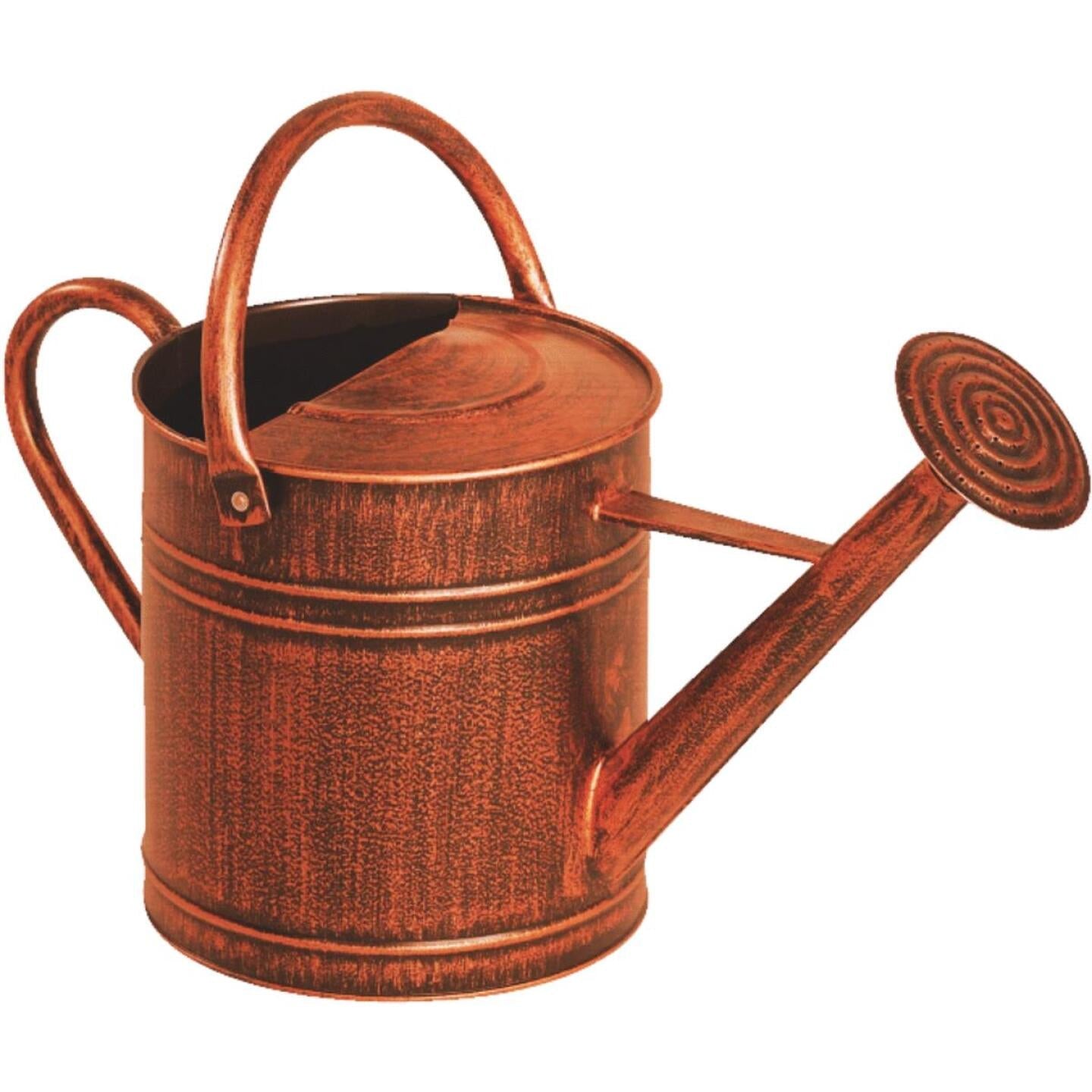 Panacea, Panacea 2 Gal. Brushed Bronze Metal Watering Can