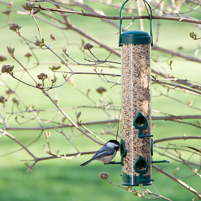 Perky-Pet, Perky-Pet® Classic Wild Bird Feeder