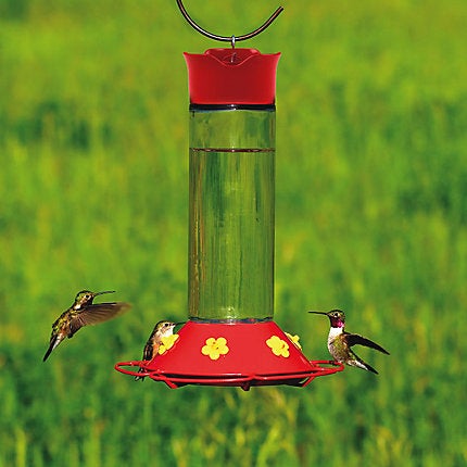 Perky-Pet, Perky-Pet® Glass Hummingbird Feeder