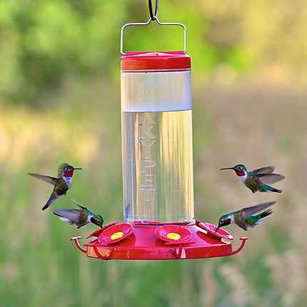 Perky-Pet, Perky-Pet® Grand 48 Plastic Hummingbird Feeder - 48 oz Nectar Capacity