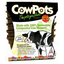 Cowpots, Plantable Pots, Square, 3-In., 12-Pk.