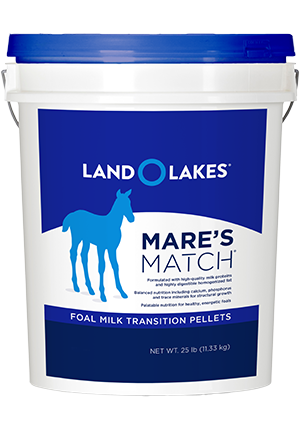 Purina, Purina Land O'Lakes Mare’s Match Foal Milk Replacer Foal Transition Pellet Horse Supplement, 25-lb Pail