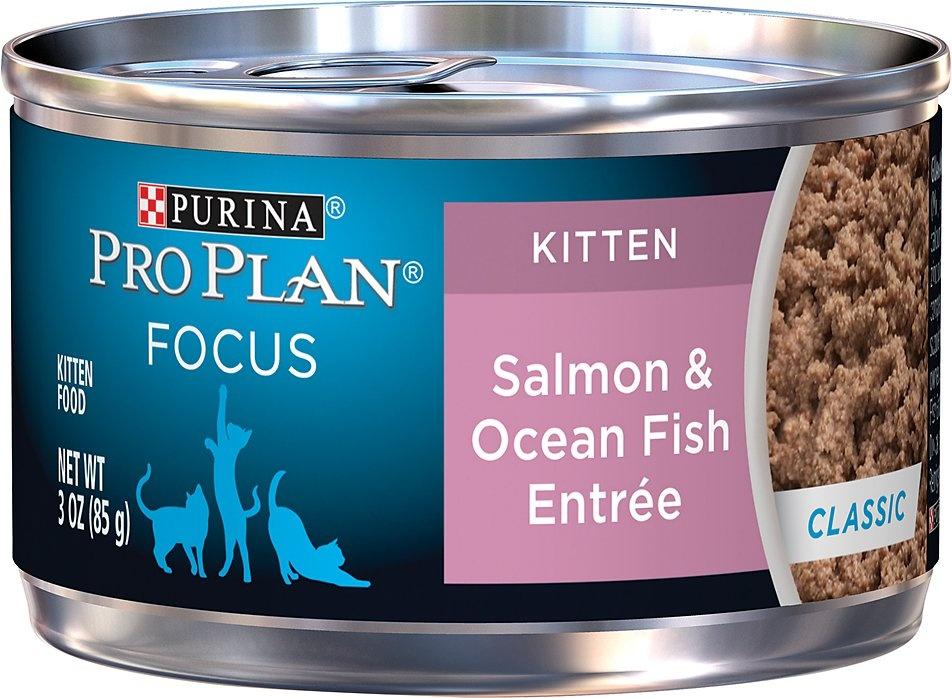 Purina Pro Plan, Purina Pro Plan Focus Kitten Classic Salmon & Ocean Fish Entree Canned Cat Food