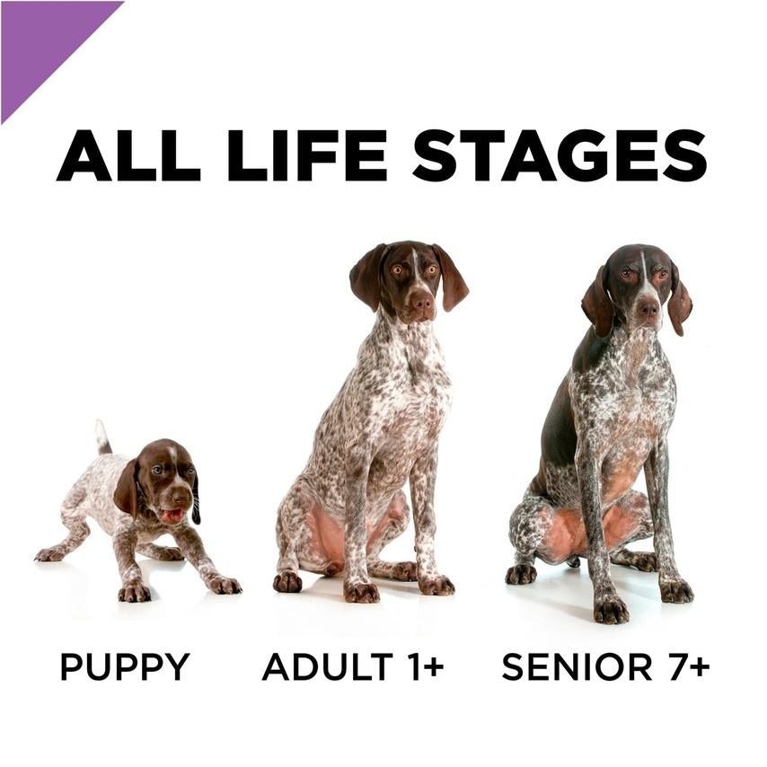 Purina Pro Plan, Purina Pro Plan Sport All Life Stages Performance 30/20 Formula Dry Dog Food