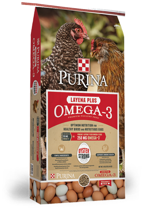 Purina, Purina® Layena® Plus Omega-3