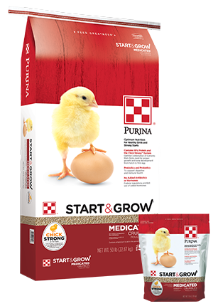 Purina, Purina® Start & Grow® Medicated