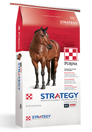 Purina, Purina® Strategy® Professional Formula GX Horse Feed