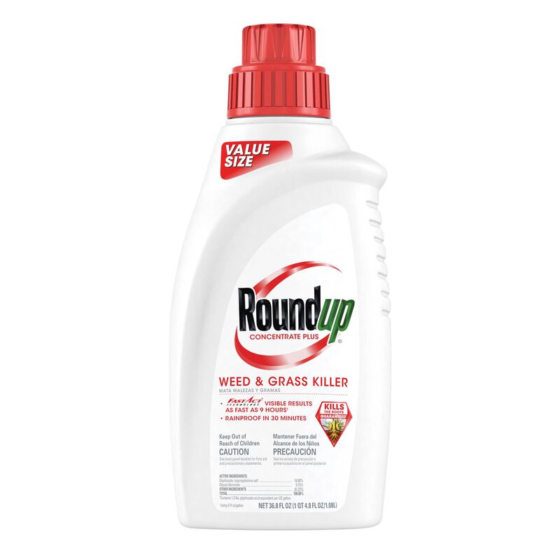 Roundup, Roundup® Concentrate Plus Weed and Grass Killer
