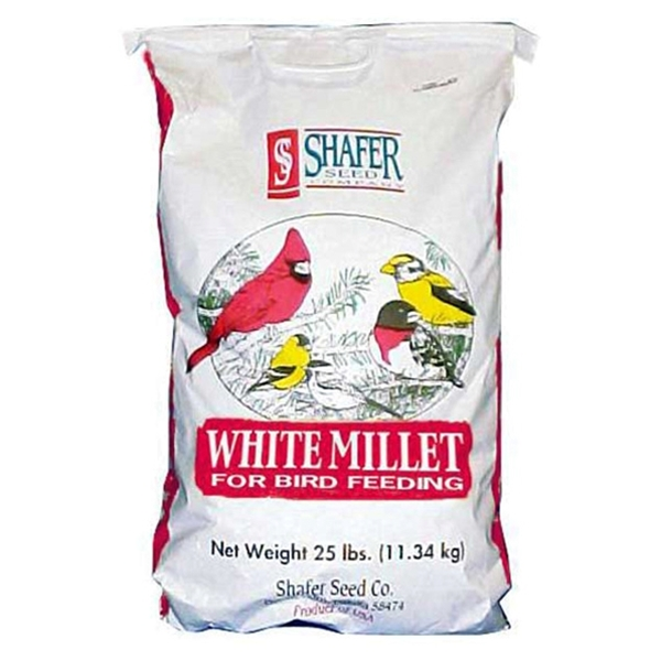 Shafer, SHAFER WHITE MILLET BIRD SEED