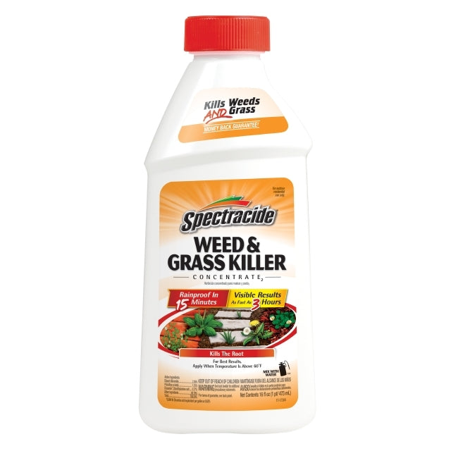 SPECTRUM BRANDS, INC., SPECTRUM BRANDS SPECTRACIDE® WEED & GRASS KILLER CONCENTRATE
