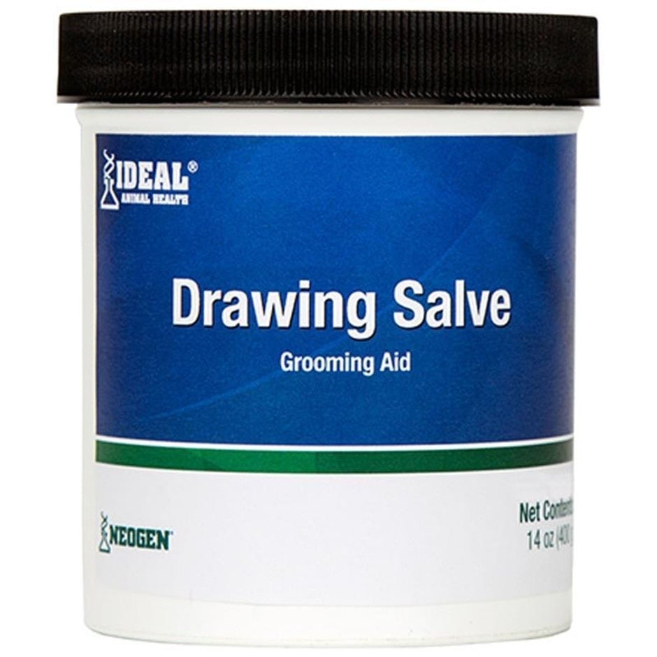 Squire, SQUIRE ICHTHAMMOL DRAWING SALVE GROOMING AID
