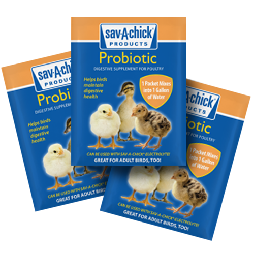 Sav-a-Chick, Sav-A-Chick® Probiotic Supplement