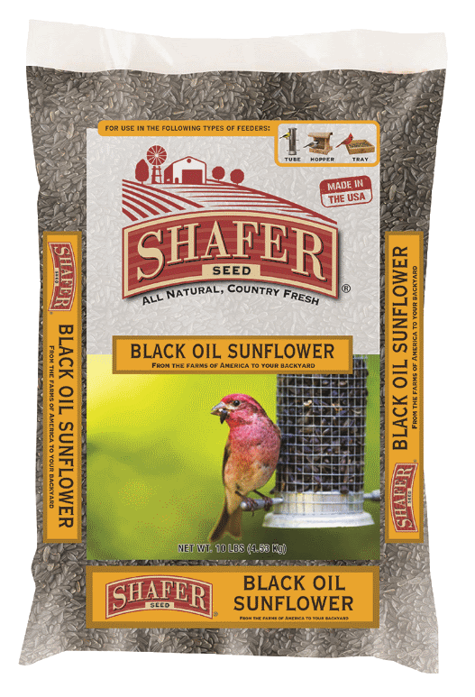 Shafer, Shafer Black Oil Sunflower Seed