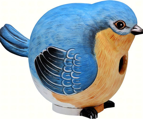 Songbird Essentials, Songbird Essentials Bluebird Gord-O Bird House