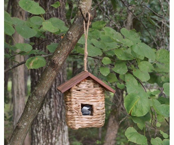Songbird Essentials, Songbird Essentials Hanging Grass Roosting Pocket with Roof