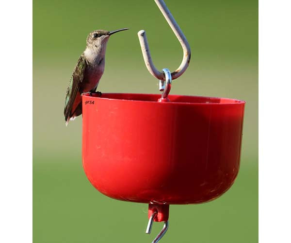 Songbird Essentials, Songbird Essentials Nectar Protector Jr Red Bulk 9 oz