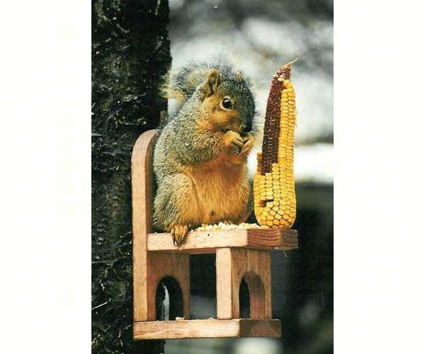 Songbird Essentials, Songbird Essentials Squirrel Feeder Chair