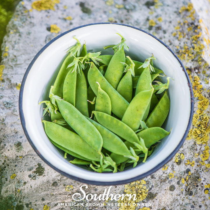 Southern States, Southern States Sugar Snap Pea Seed - Plant Peas