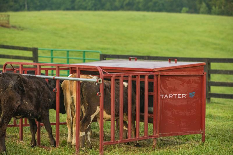 TARTER, Tarter Calf Creep Feeder 1000 Red