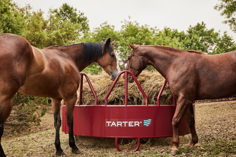 TARTER, Tarter Equine Pro Hay Feeder with Hay Saver Red