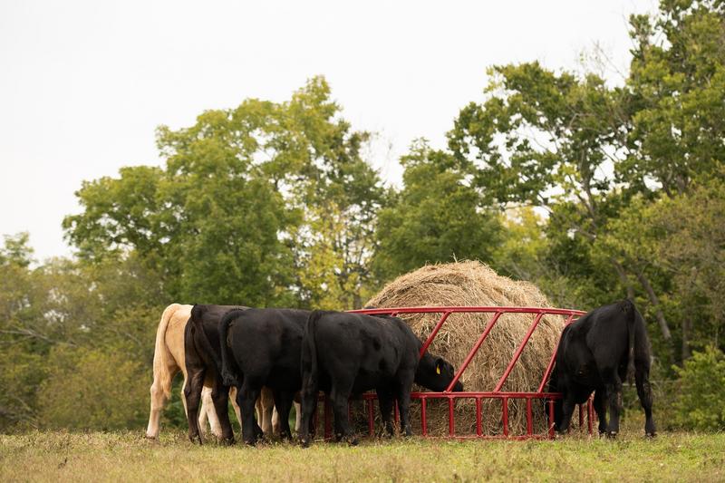 TARTER, Tarter Steelcor Cattle Hay Feeder