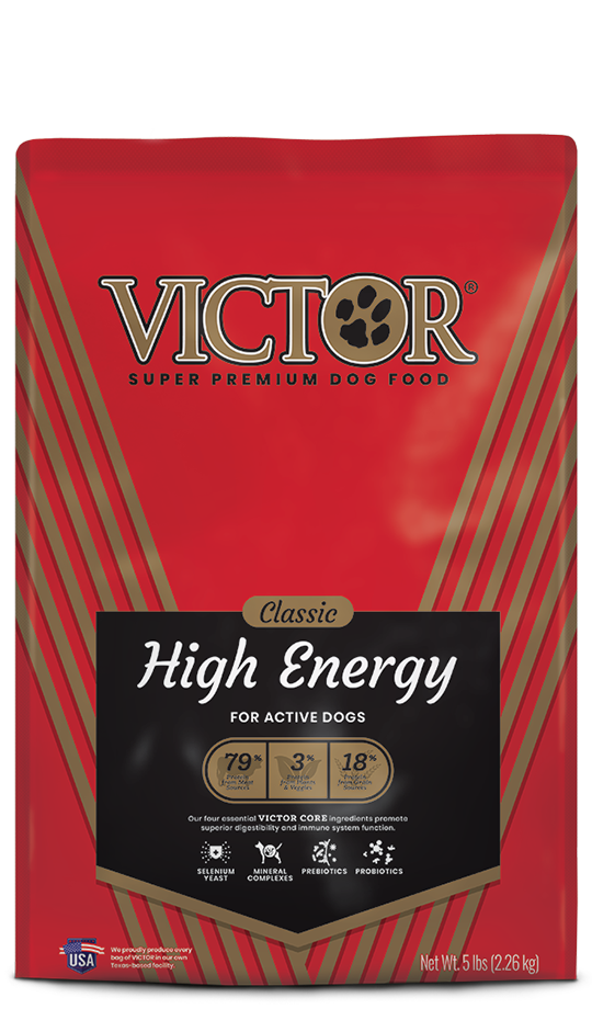 Victor, Victor High Energy