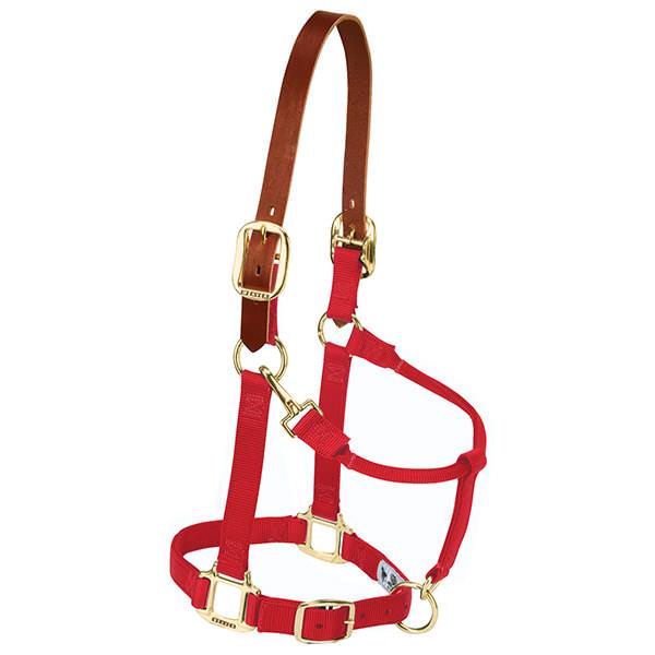 Weaver, Weaver Leather Striped Padded Adjustable Chin And Throat Snap Halter Small Red 1"