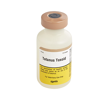 ZOETIS, Zoetis Tetanus Toxoid Equine 10 Dose